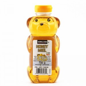 캐나다산 벌꿀 허니베어 750g, 1병