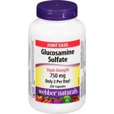 글루코사민 황산염 750mg 250정(관절염)